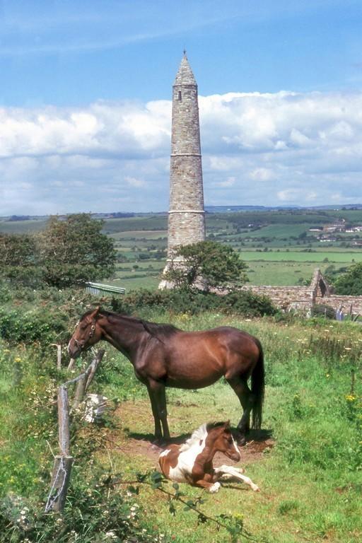 Newtown Farm Country House アードモア エクステリア 写真